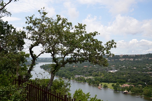 Mount Side Trees  Mount Side Trees